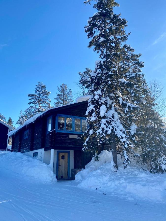 Villa Joaengets Fjaellgard à Sälen Extérieur photo