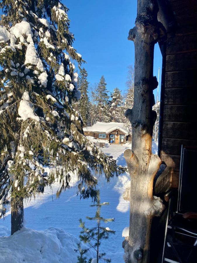Villa Joaengets Fjaellgard à Sälen Extérieur photo
